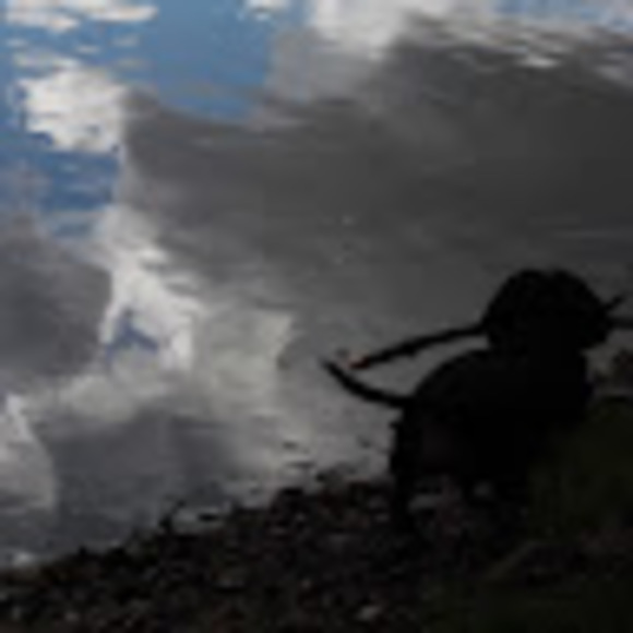 Meet your Posher, Louann - Picture 1 of 1